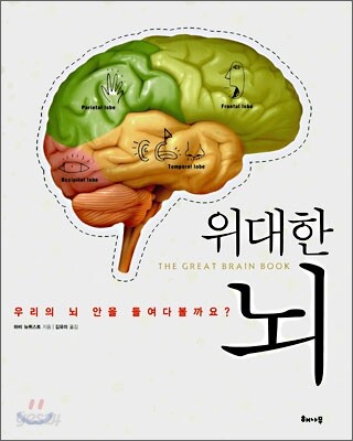 위대한 뇌