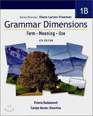 Grammar Dimensions 1B : Form, Meaning, Use (Student's Book)