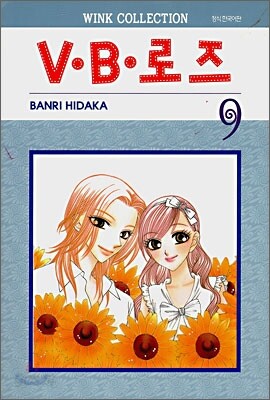 VㆍBㆍ로즈 9