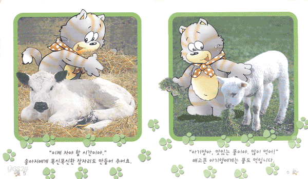 치치 친구들을 돌보아요