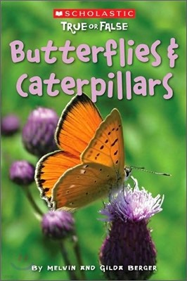 Butterflies and Caterpillars