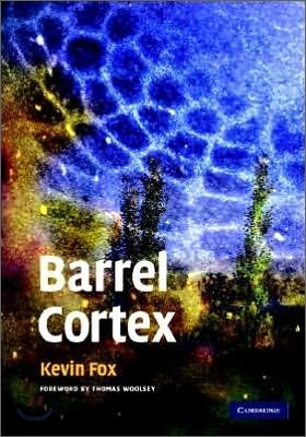 Barrel Cortex