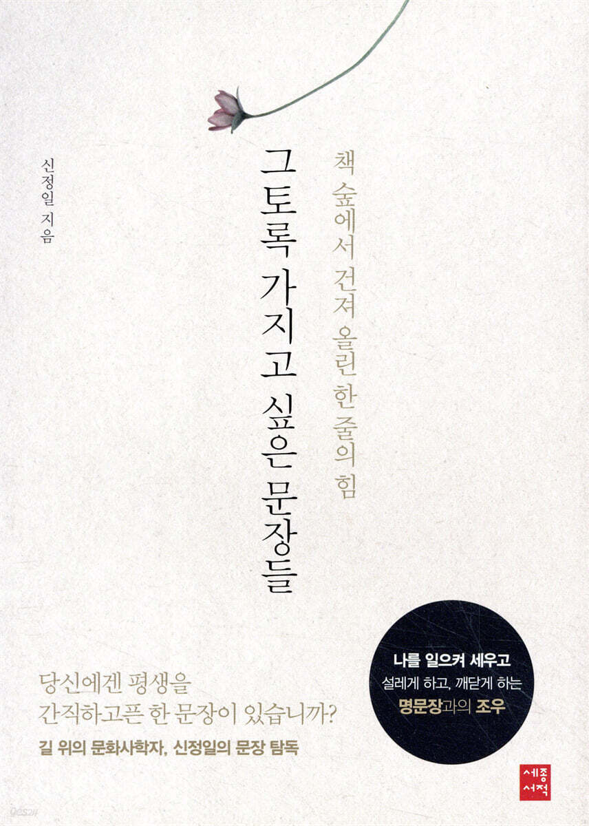 그토록 가지고 싶은 문장들