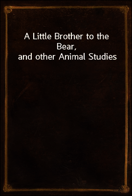 A Little Brother to the Bear, and other Animal Studies