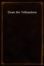 Down the Yellowstone