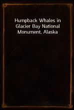 Humpback Whales in Glacier Bay National Monument, Alaska