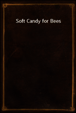 Soft Candy for Bees