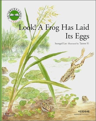 Look! A Frog Has Laid Its Eggs