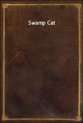 Swamp Cat