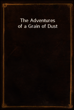 The Adventures of a Grain of Dust