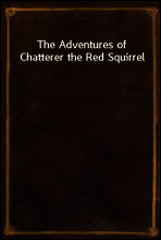 The Adventures of Chatterer the Red Squirrel