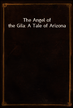 The Angel of the Gila