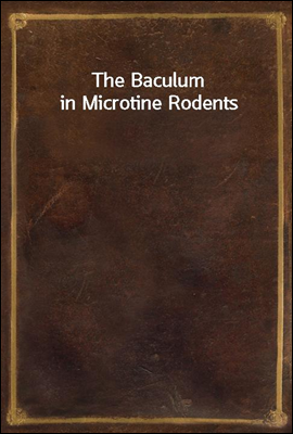 The Baculum in Microtine Rodents