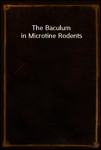 The Baculum in Microtine Rodents