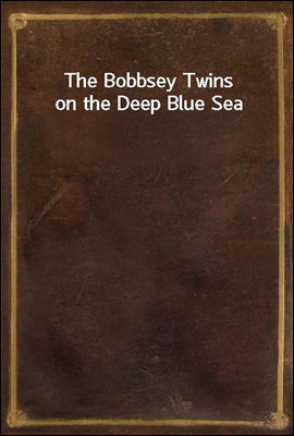 The Bobbsey Twins on the Deep Blue Sea