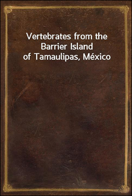 Vertebrates from the Barrier Island of Tamaulipas, Mexico