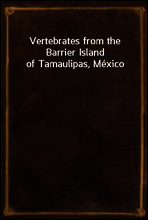Vertebrates from the Barrier Island of Tamaulipas, Mexico