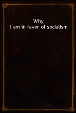 Why I am in favor of socialism