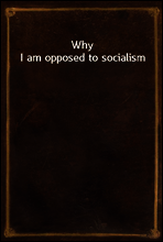 Why I am opposed to socialism