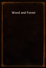 Wood and Forest
