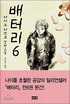 배터리 6