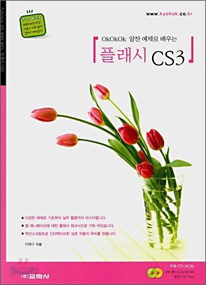 플래시 CS3