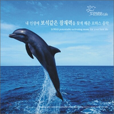 내 인생에 보석 같은 잠재력을 찾게 해준 로하스 음악