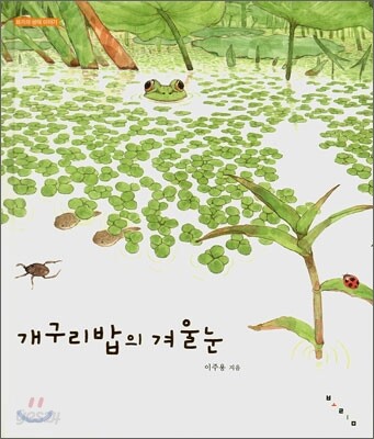 개구리밥의 겨울눈