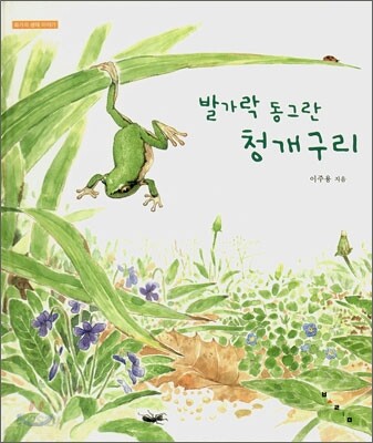 발가락 동그란 청개구리