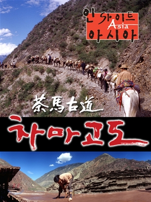 차마고도 (6disc)