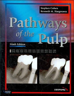 Pathways of the Pulp