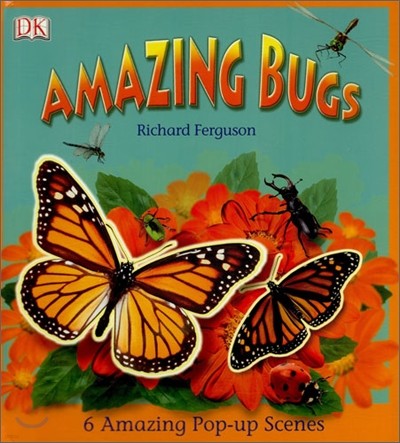 Amazing Bugs : Pop-Up