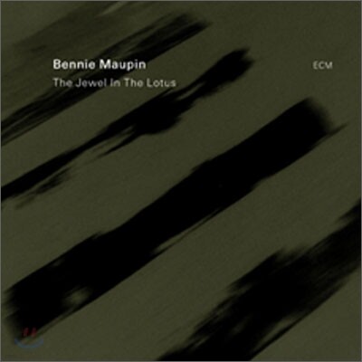 Bennie Maupin - The Jewel In the Lotus