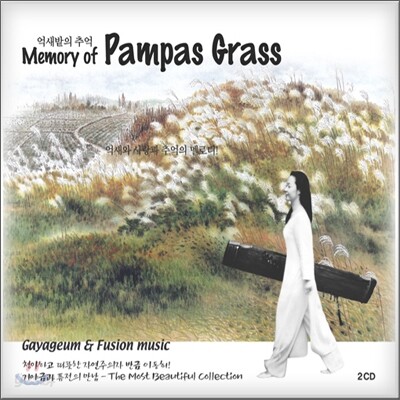 퓨전가야금연주자 이동희 - 억새밭의 추억 Memory of Pampas Grass