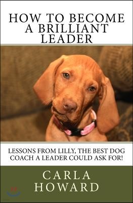 How to Become a Brilliant Leader: Leadership Lessons from Lilly, The best dog coach a leader could ask for!