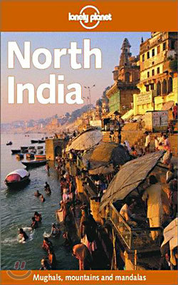 North India (Lonely Planet Travel Guide)