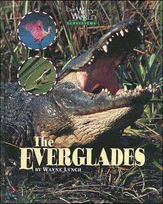 The Everglades