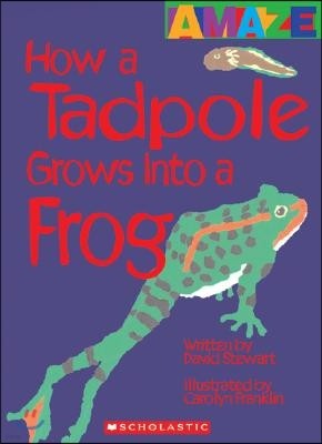 How a Tadpole Grows Into a Frog