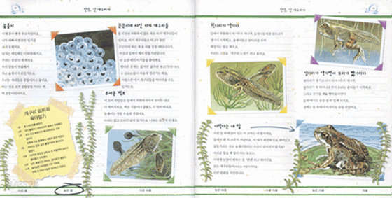 안녕, 난 개구리야