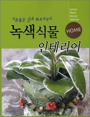 녹색식물 인테리어