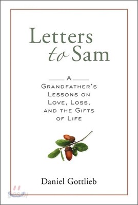 Letters to Sam : A Grandfather's Lessons on Love, Loss, and the Gifts of Life
