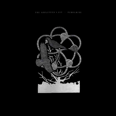 Appleseed Cast — Peregrine (10th Anniversary Edition) 앨범 커버