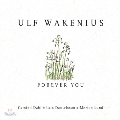 Ulf Wakenius - Forever You