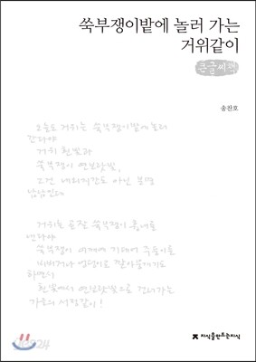 쑥부쟁이밭에 놀러 가는 거위같이