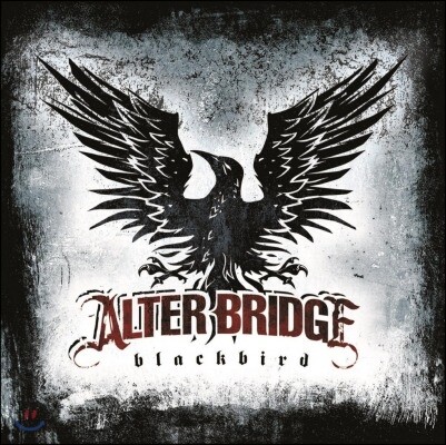 Alter Bridge — 2집 Blackbird 앨범 커버