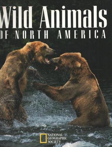 wild animals of north america