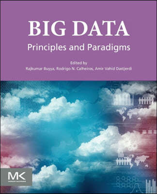 Big Data: Principles and Paradigms