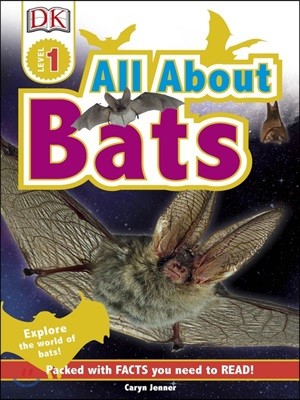 All About Bats