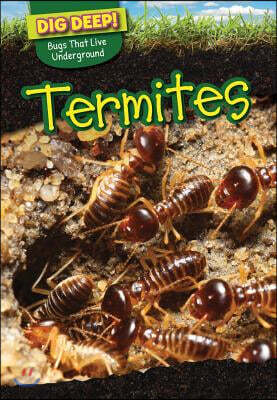 Powerkids Pr Termites