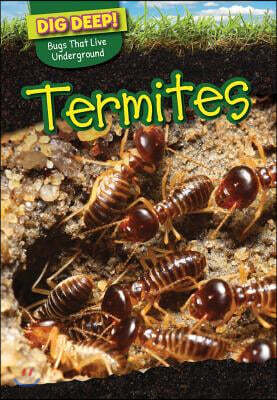 Powerkids Pr Termites